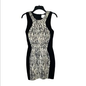Parker Contour Zebra Dress